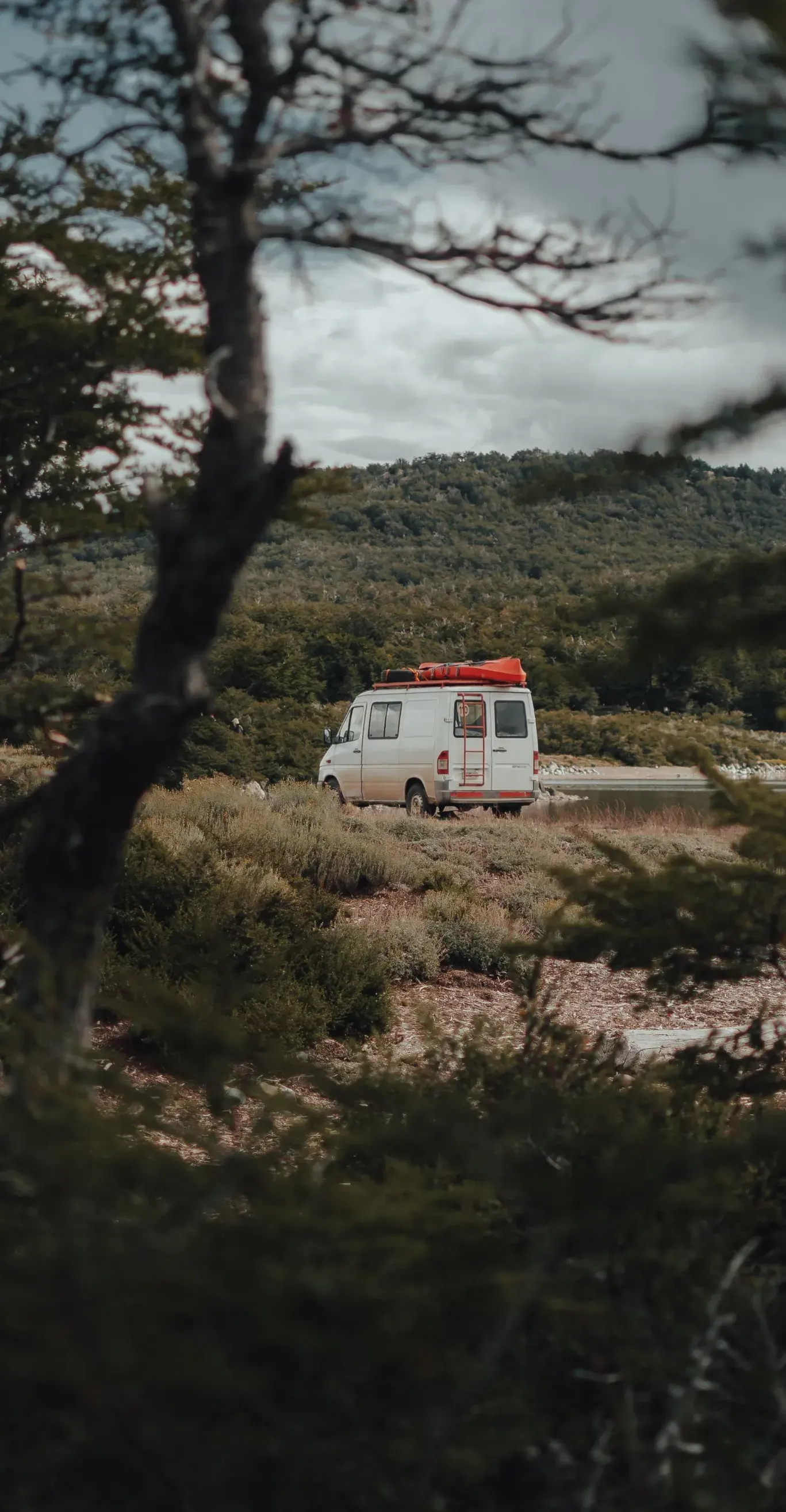 A white camper van with a red roof box on open scrubland, seen through foreground trees