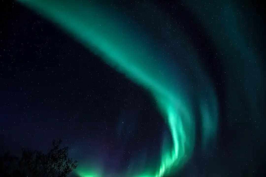 The northern lights over a Finnish forest