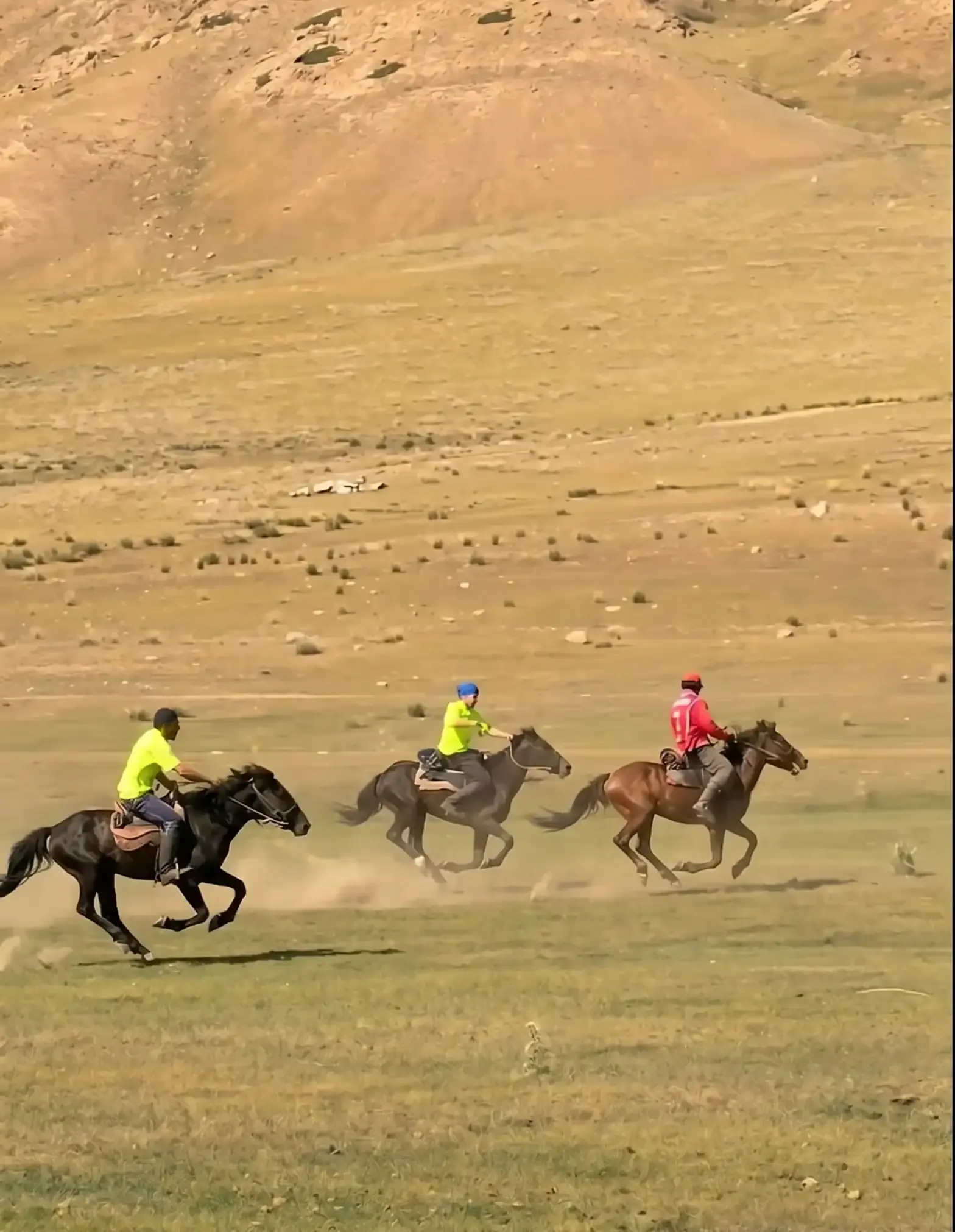 kok baru horse riding Kyrgyzstan
